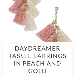 🆕Daydreamer Tassel earring in peach and gold